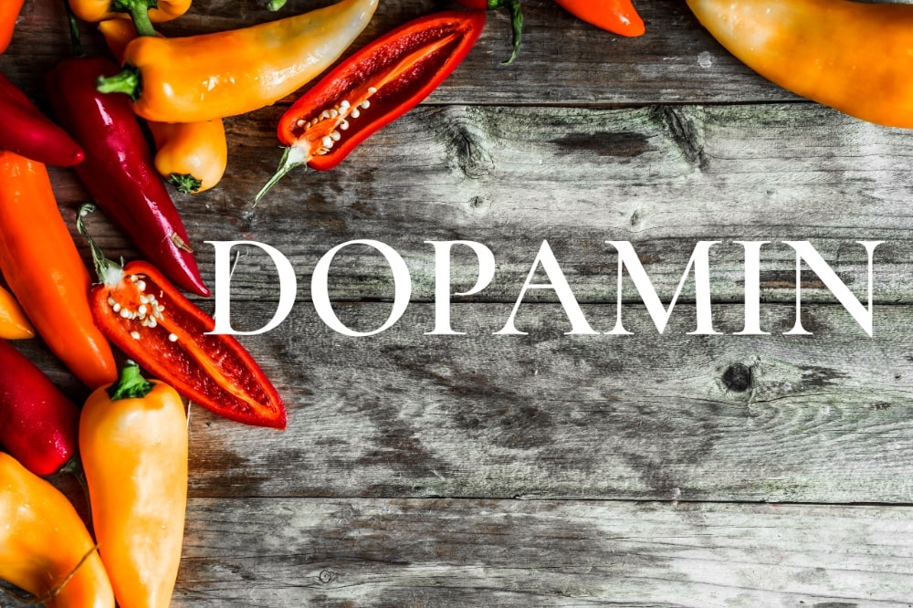 Dopamin und Enteramin Naturalis
